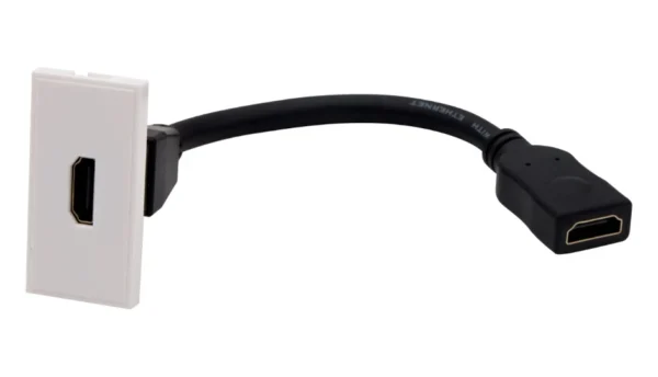 4K HDMI Module - EWS